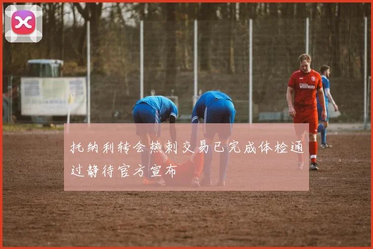 托纳利转会热刺交易已完成体检通过静待官方宣布