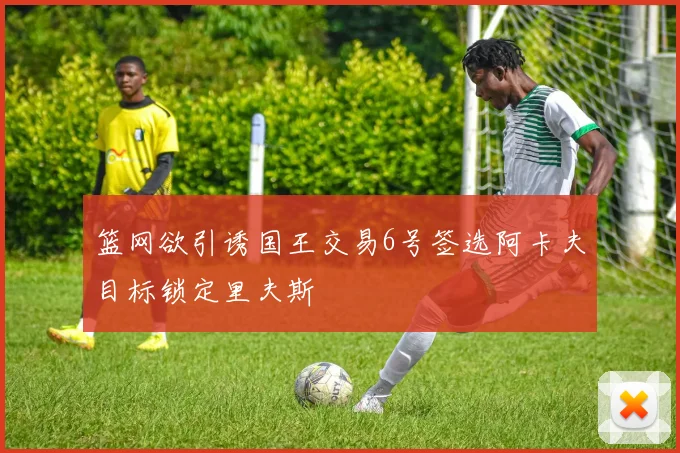 篮网欲引诱国王交易6号签选阿卡夫目标锁定里夫斯
