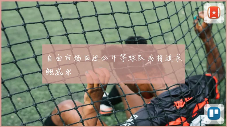 自由市场临近公牛等球队或将追求鲍威尔