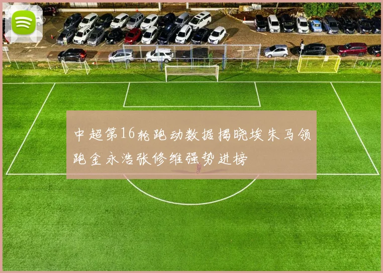 中超第16轮跑动数据揭晓埃朱马领跑金永浩张修维强势进榜