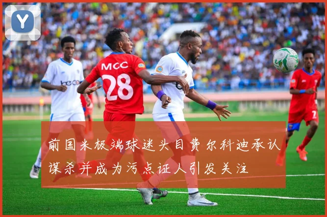 前国米极端球迷头目费尔科迪承认谋杀并成为污点证人引发关注